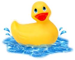 A cute, yellow rubber ducky: Aka- Me :P